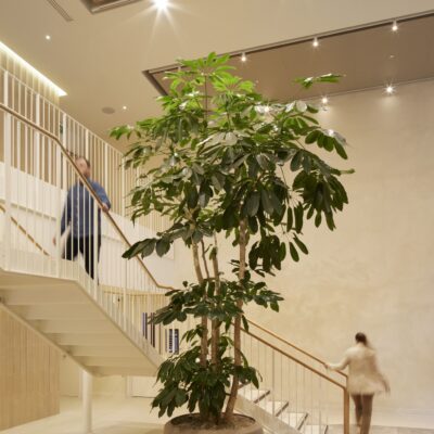 260218_FilmHouse_©JackHobhouse_030