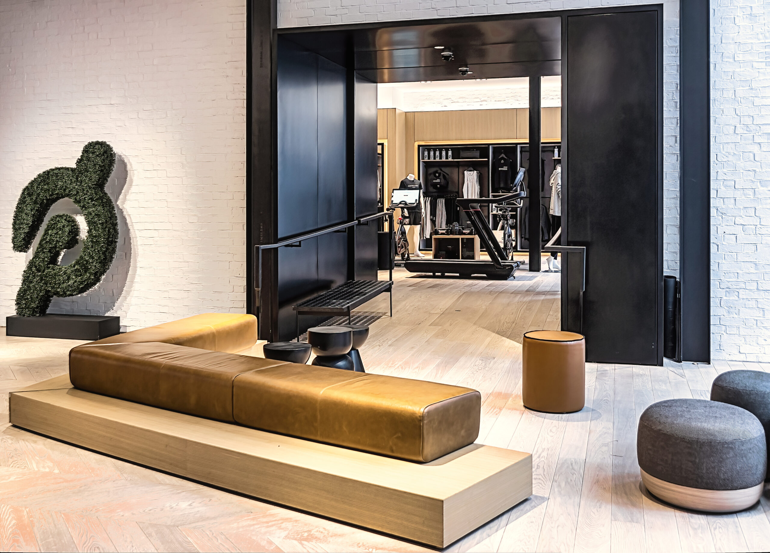 Spotlight on Peloton